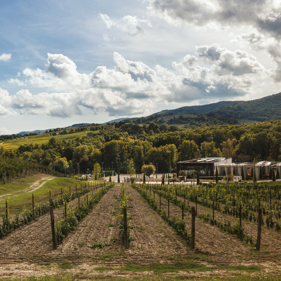 2 Flessen - Gigino Toscana Rosso I.G.T.