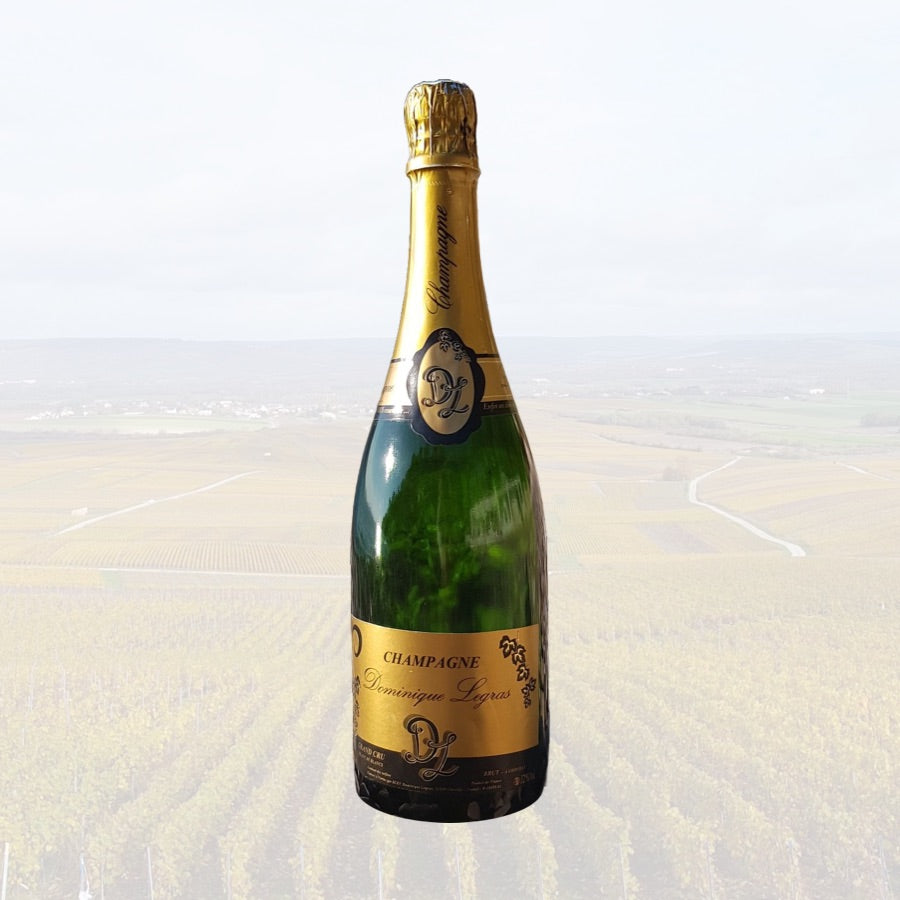 Dominique Legras Champagne Brut Vintage 2015
