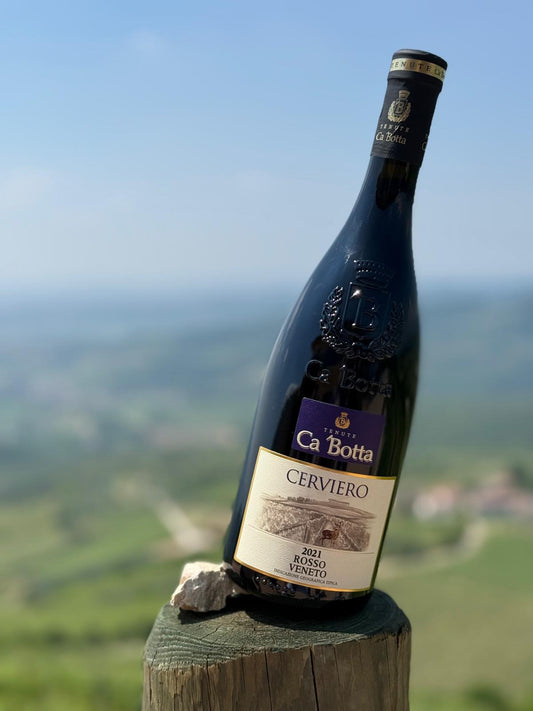 Cerviero
